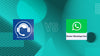Shopify Chat Apps: Dab: Whatsapp & Abandoned cart vs Musbu ‑ WhatsApp Chat Button
