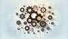 Shopify - Configuring Webhooks in Magento Using REST API