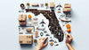 The 8 Premier Florida Dropshipping Suppliers In 2024