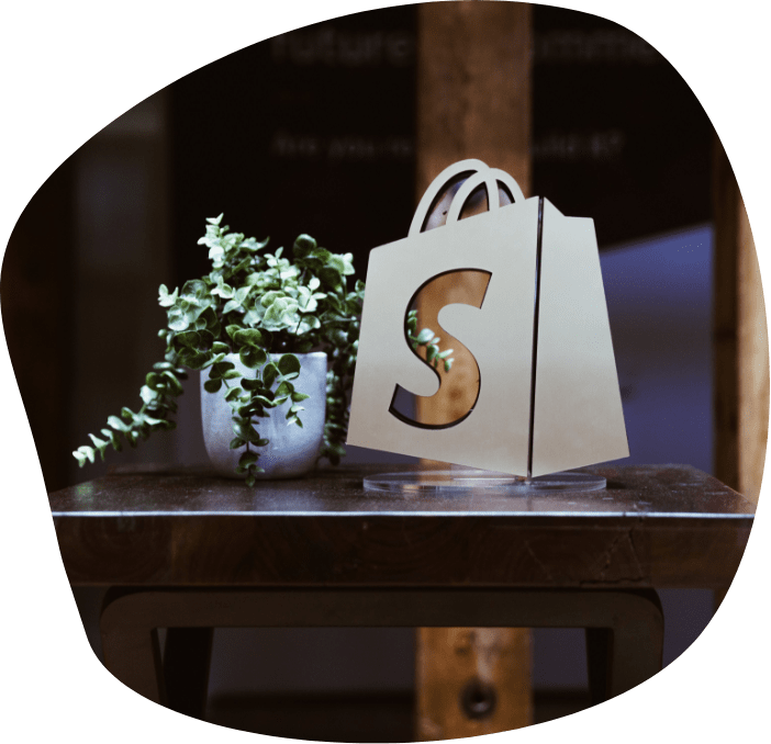 Maximize ecommerce Efficiency with Shopify Scripts